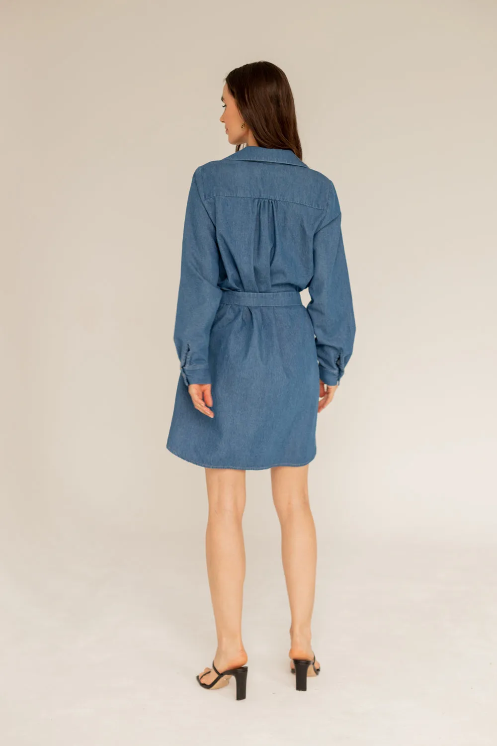 Denim Shirt Dress